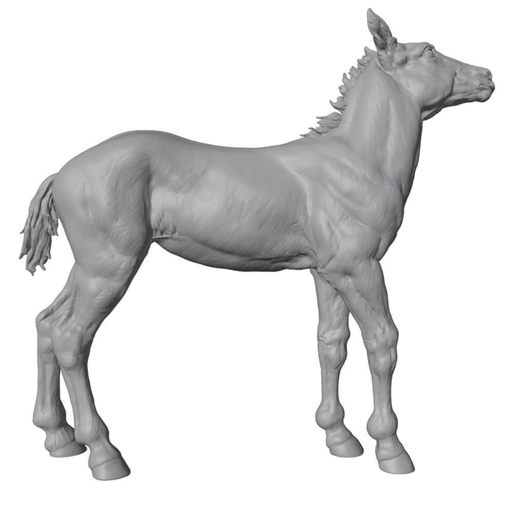 고화질 인쇄, 사실적인 말 미니어처 레진 조형물, 수작 - 3D Printing App 리뷰 및 가격