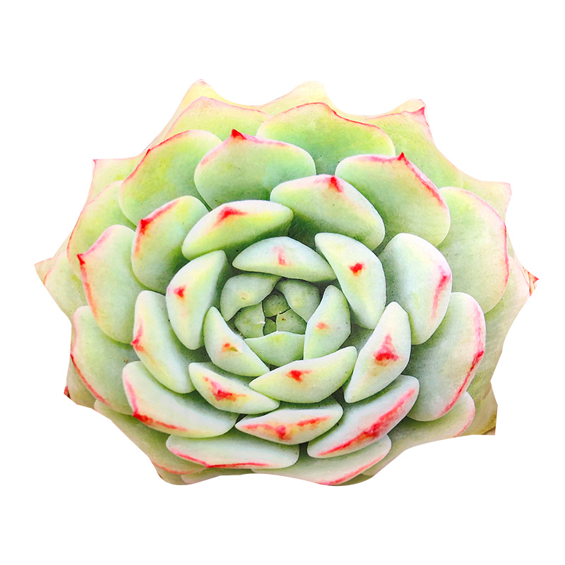 75cm 큰 크기 3D 인쇄 시뮬레이션 된 즙이 많은  - 3D Printing With Pp 리뷰 및 가격